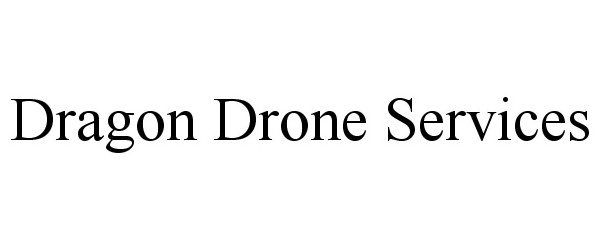  DRAGON DRONE SERVICES