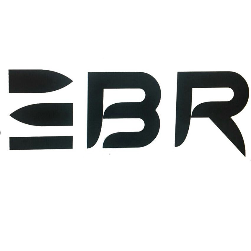 Trademark Logo BR