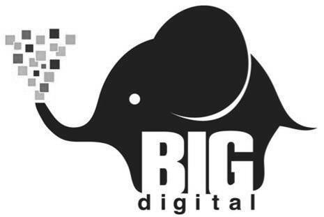  BIG DIGITAL