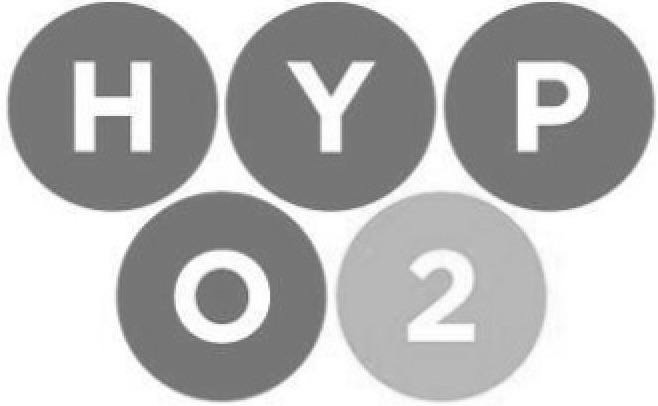 Trademark Logo HYPO2