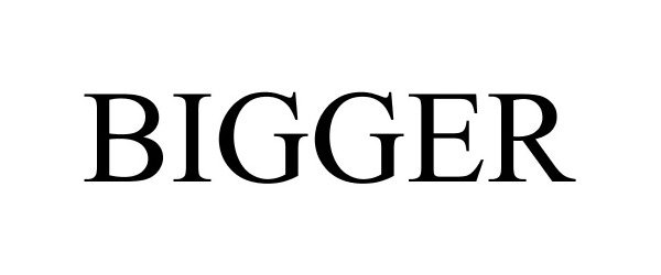 Trademark Logo BIGGER