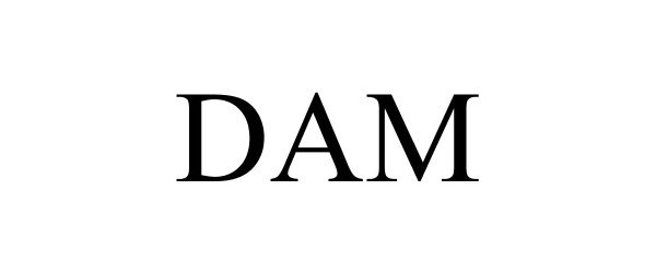 Trademark Logo DAM