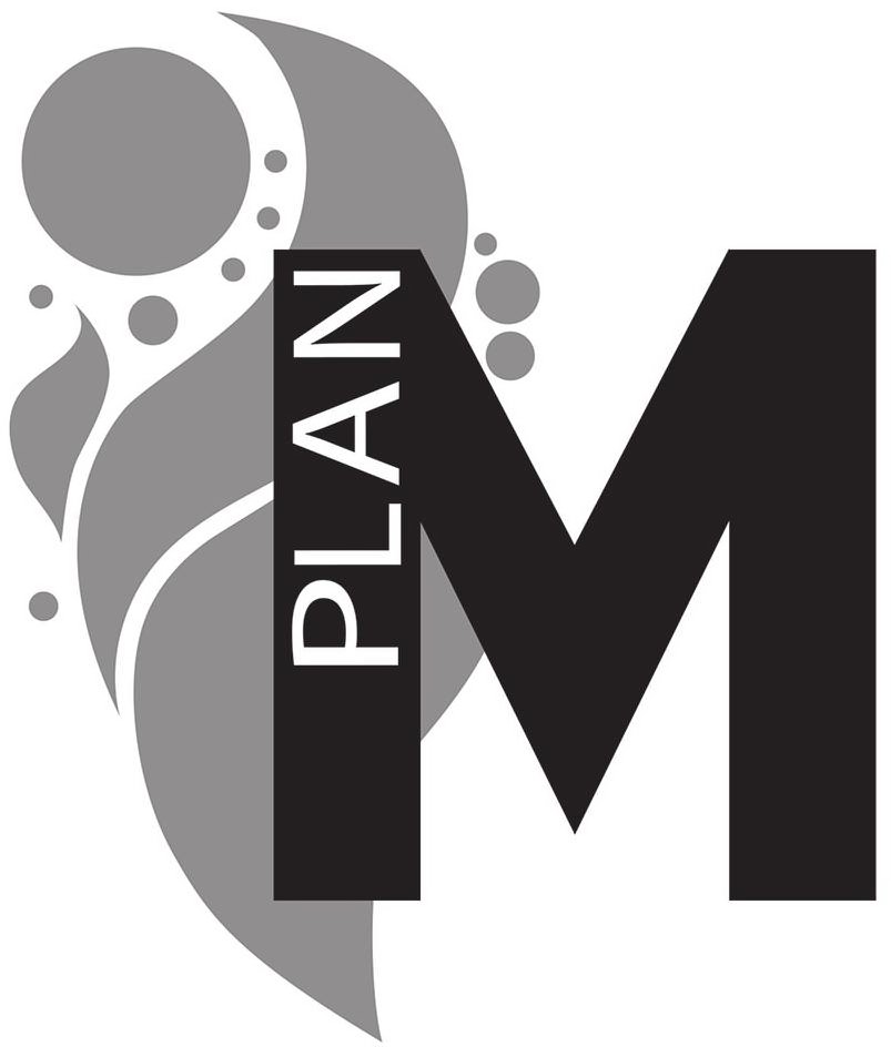 Trademark Logo PLAN M
