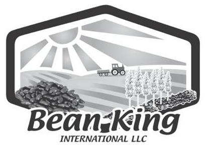  BEAN KING INTERNATIONAL LLC