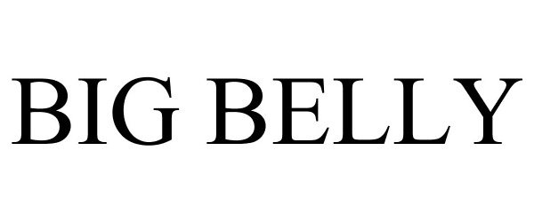 Trademark Logo BIG BELLY