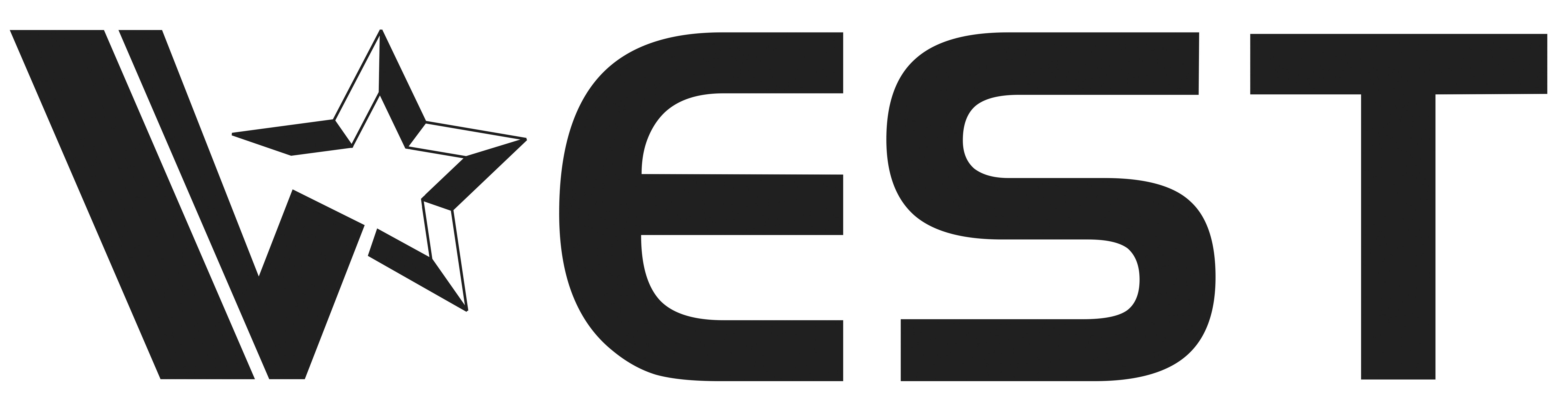 Trademark Logo VEST