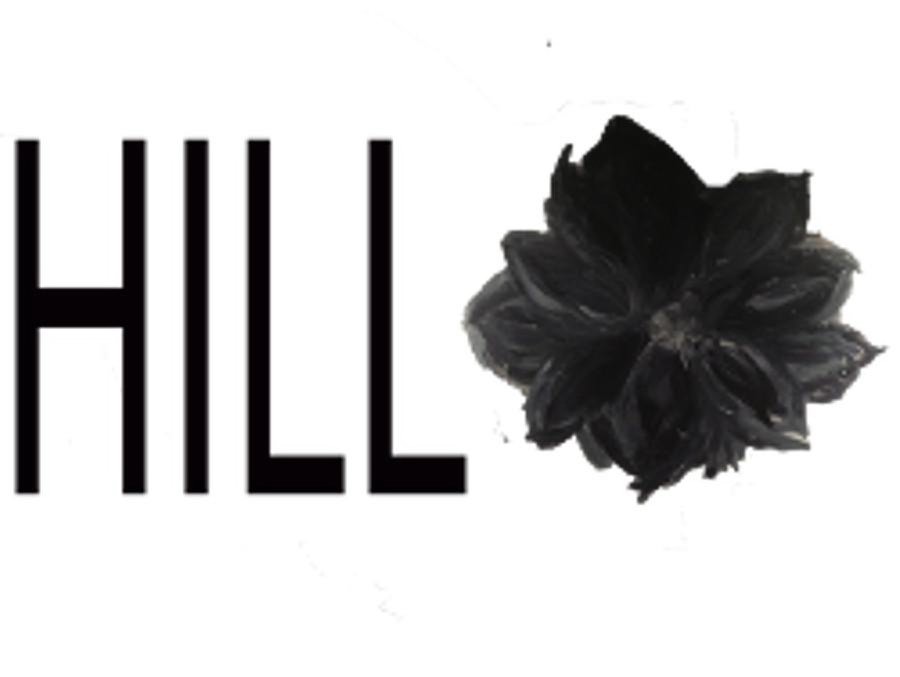 Trademark Logo HILL