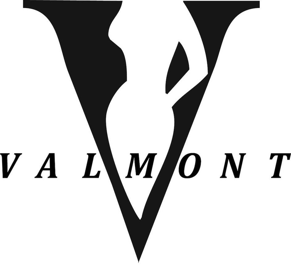 Trademark Logo V VALMONT