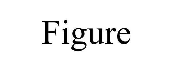 Trademark Logo FIGURE