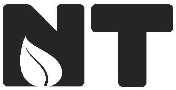 Trademark Logo NT