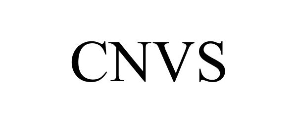  CNVS