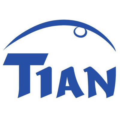 Trademark Logo TIAN