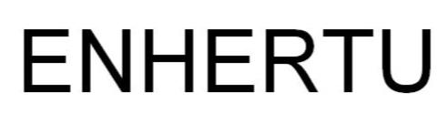 Trademark Logo ENHERTU