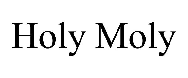  HOLY MOLY