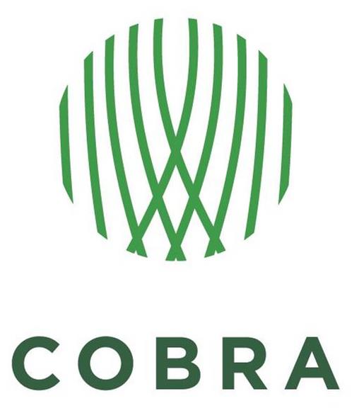 Trademark Logo COBRA