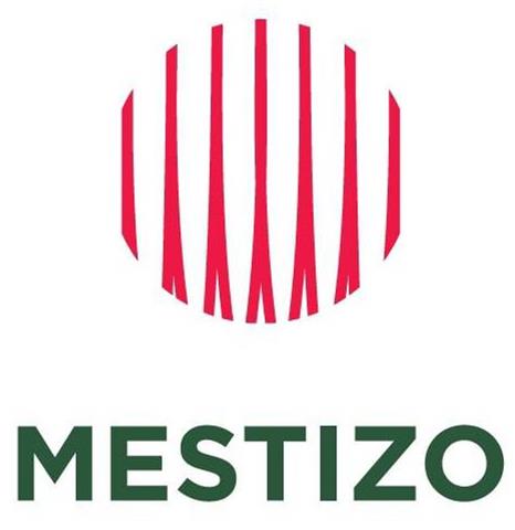 Trademark Logo MESTIZO