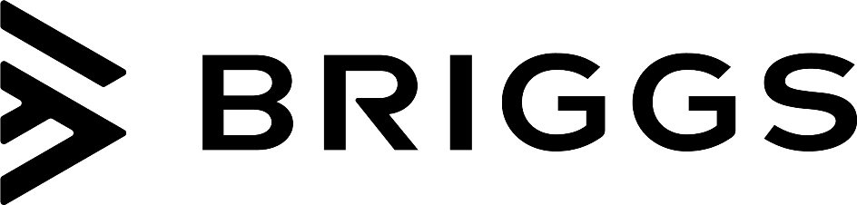 Trademark Logo BRIGGS