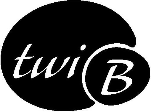 Trademark Logo TWI B