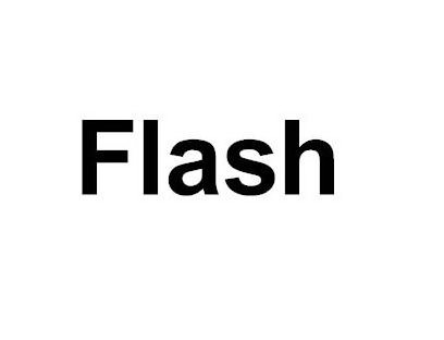 Trademark Logo FLASH