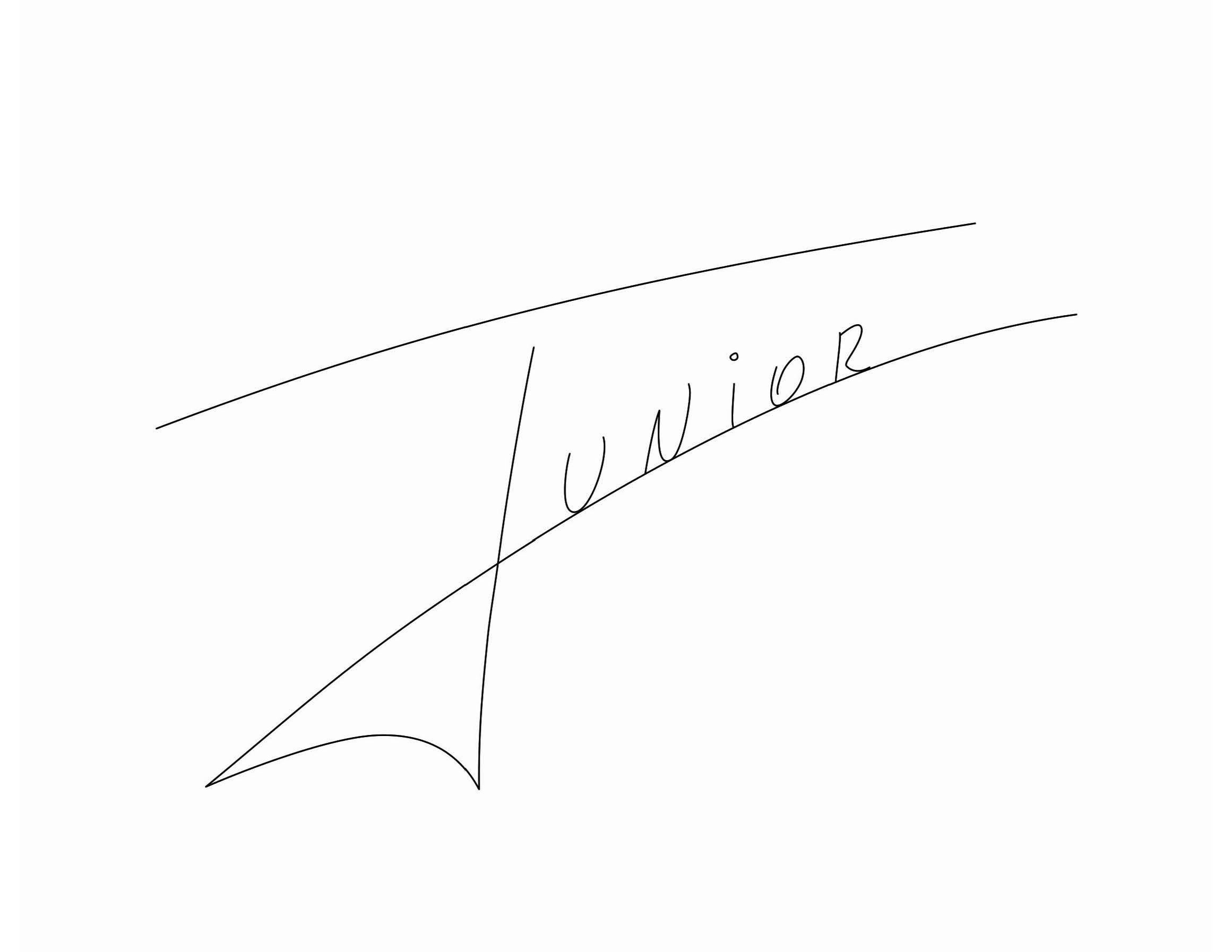 Trademark Logo JUNIOR