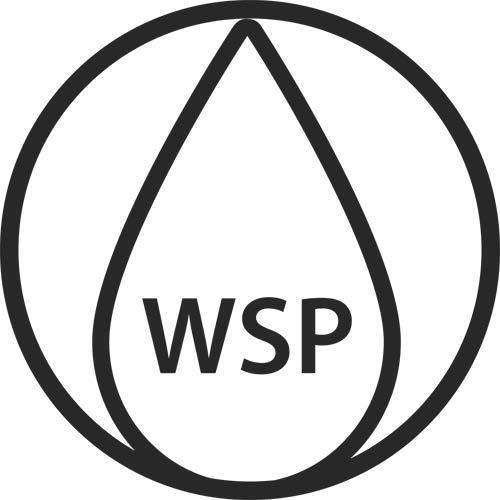Trademark Logo WSP