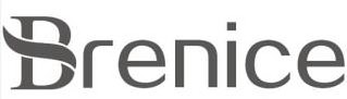 Trademark Logo BRENICE