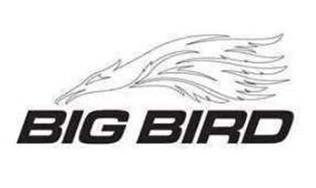 Trademark Logo BIG BIRD