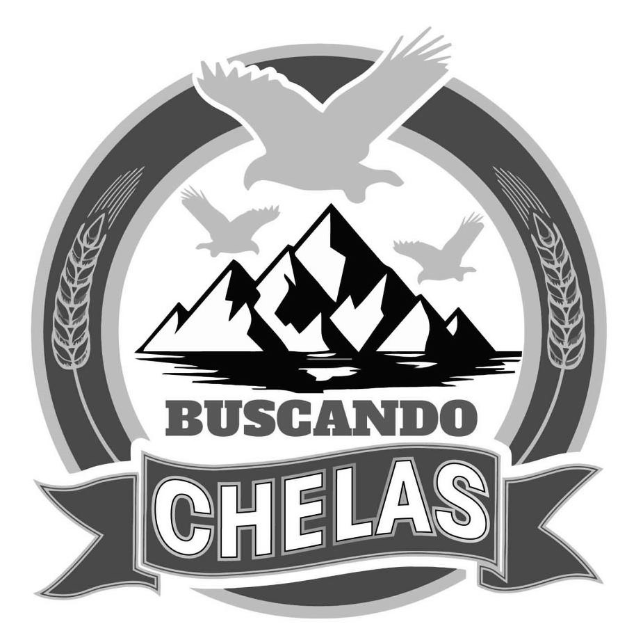Trademark Logo BUSCANDO CHELAS