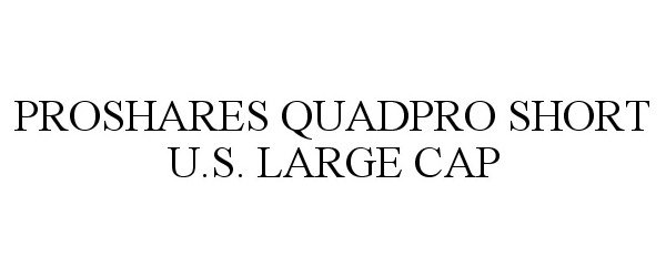  PROSHARES QUADPRO SHORT U.S. LARGE CAP