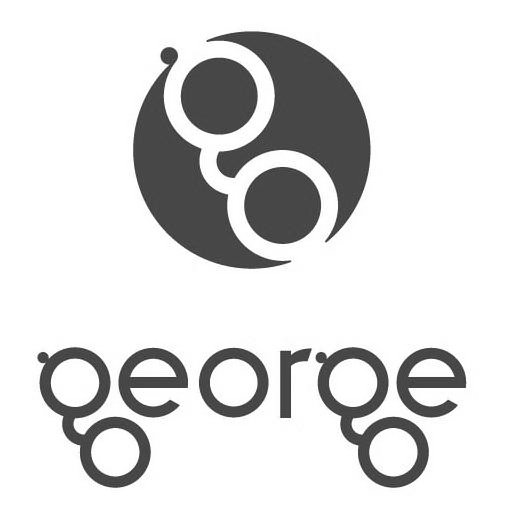 Trademark Logo G GEORGE