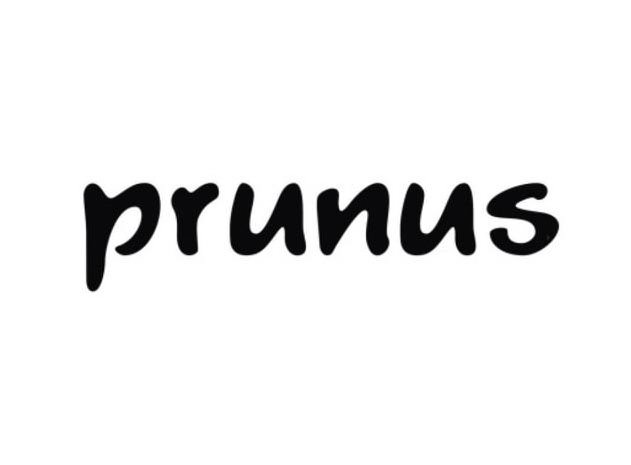Trademark Logo PRUNUS