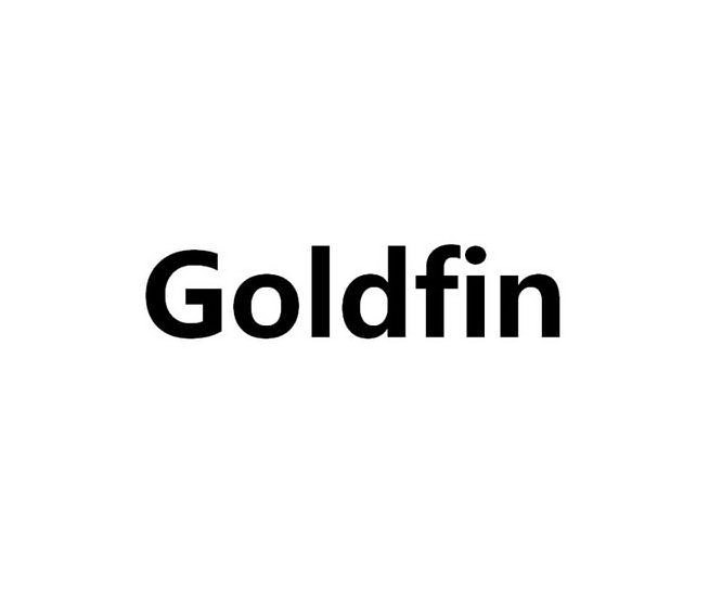 Trademark Logo GOLDFIN