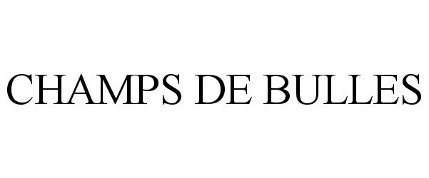  CHAMPS DE BULLES