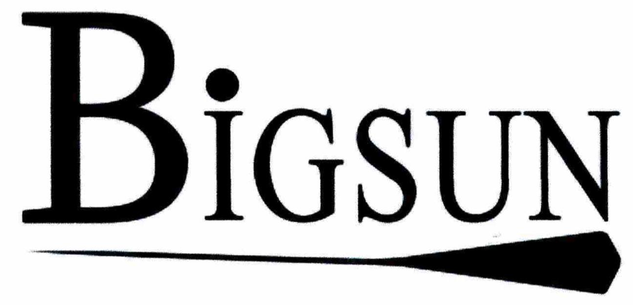 Trademark Logo BIGSUN