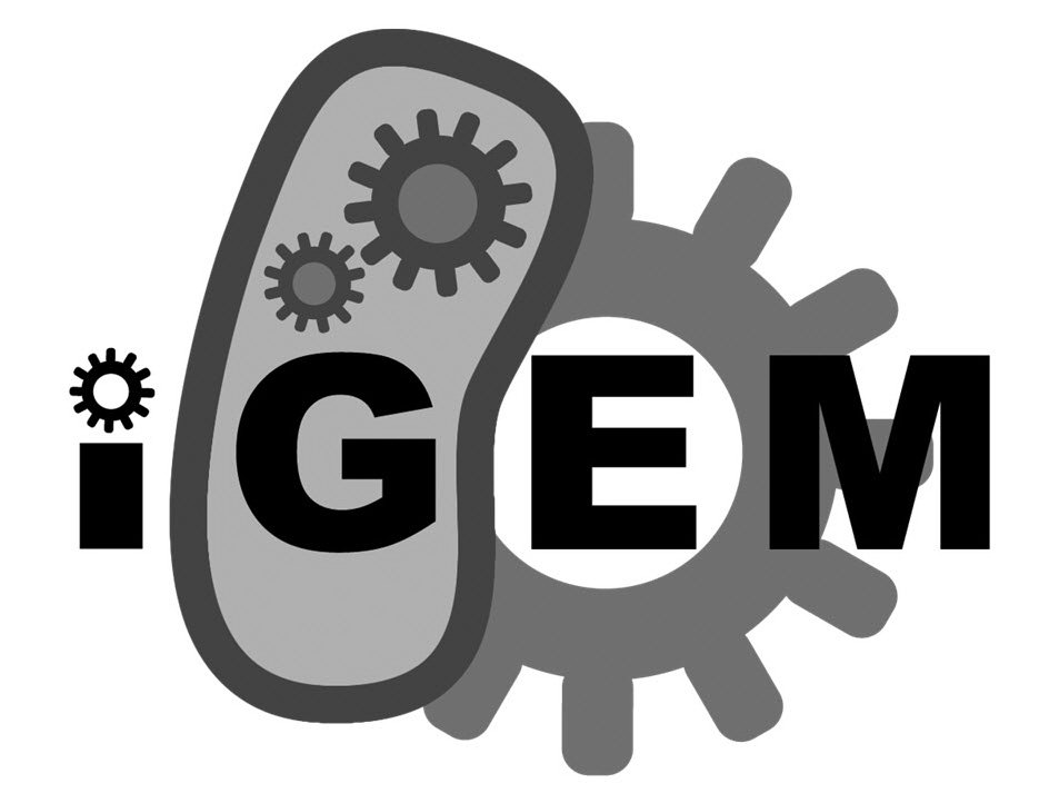 Trademark Logo IGEM