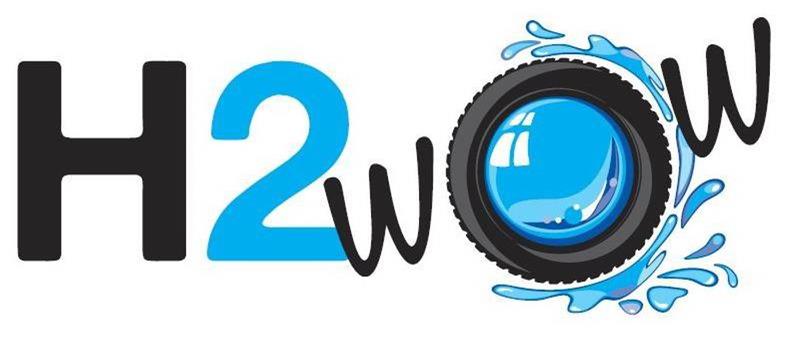 Trademark Logo H2WOW