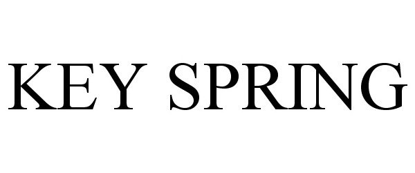 Trademark Logo KEY SPRING