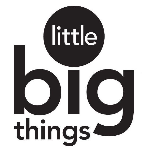  LITTLE BIG THINGS