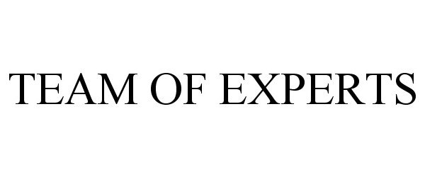Trademark Logo TEAM OF EXPERTS