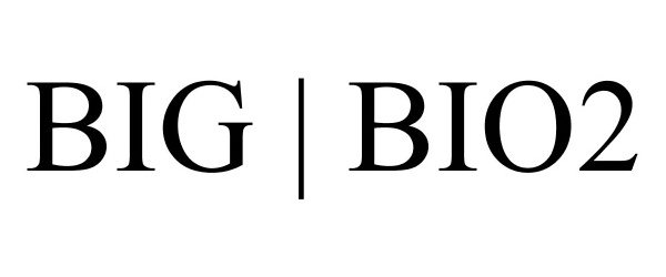 Trademark Logo BIG | BIO2