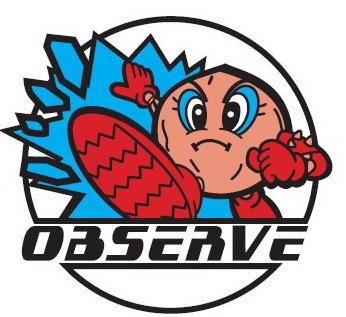 Trademark Logo OBSERVE