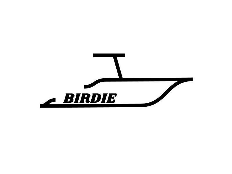 Trademark Logo BIRDIE