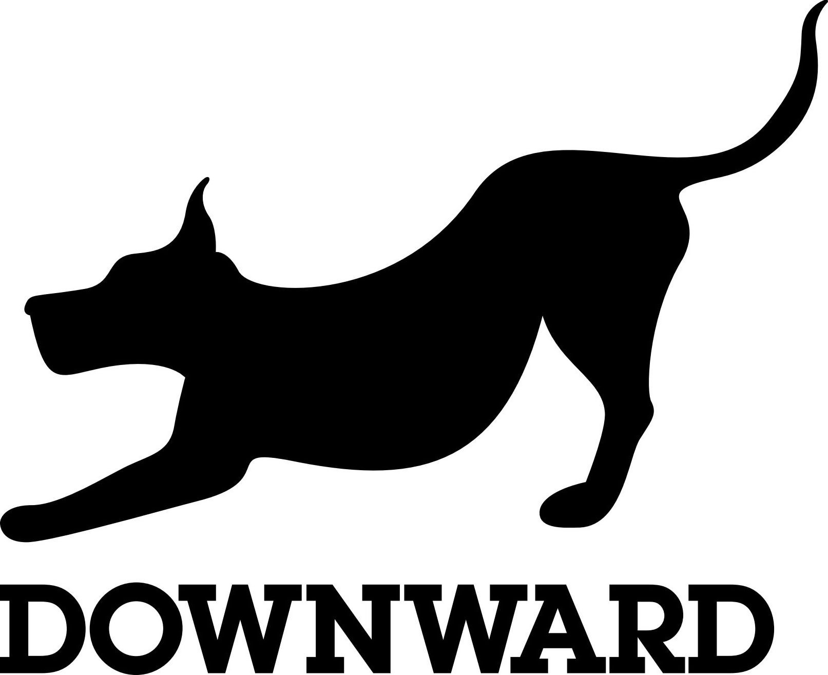 Trademark Logo DOWNWARD