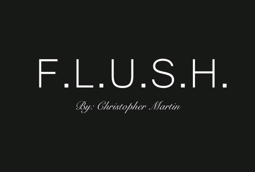  F.L.U.S.H. BY: CHRISTOPHER MARTIN