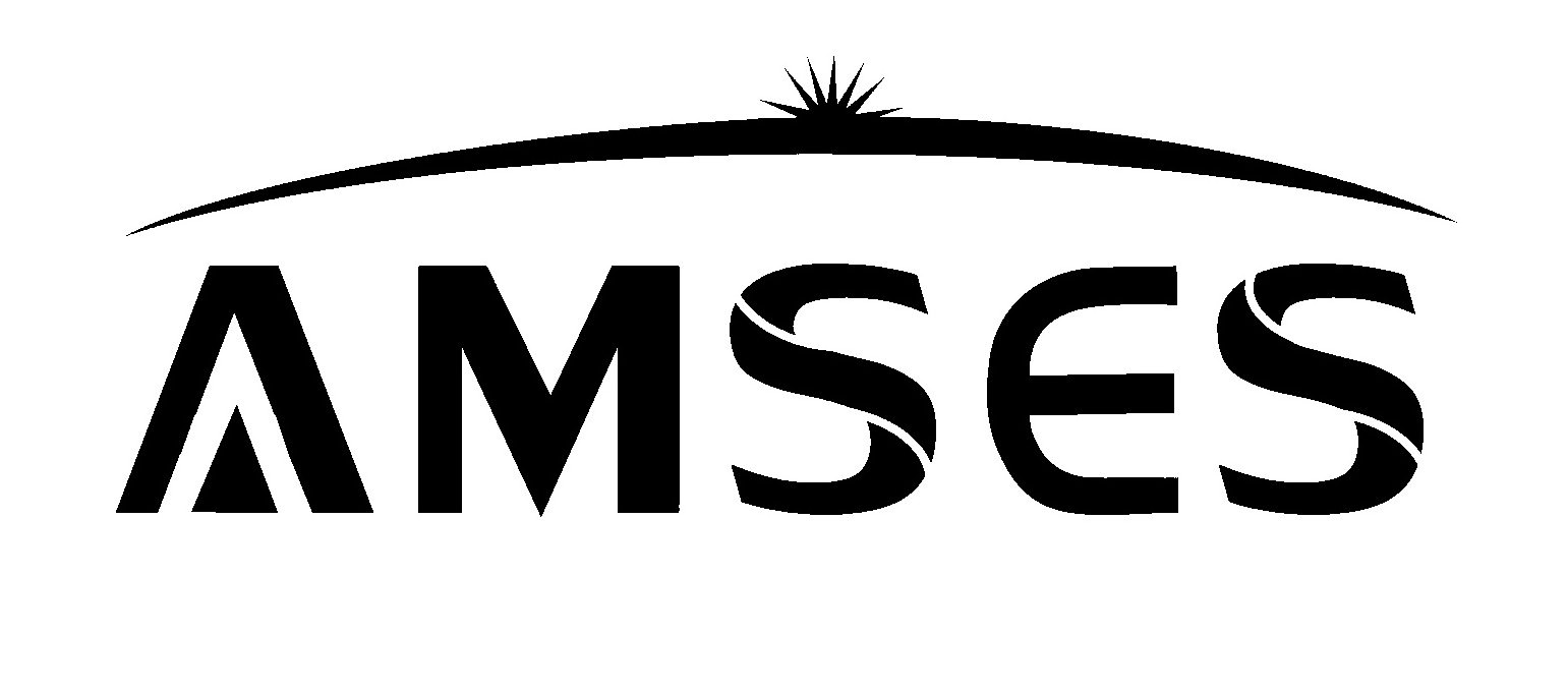 Trademark Logo AMSES