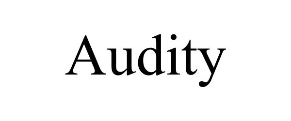  AUDITY