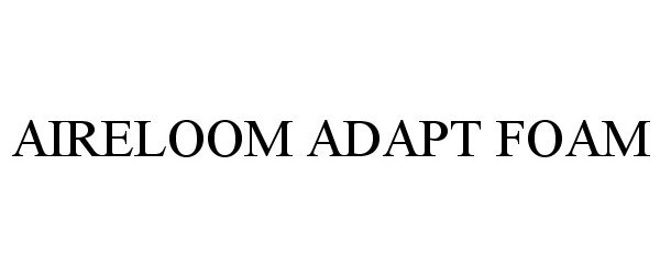  AIRELOOM ADAPT FOAM