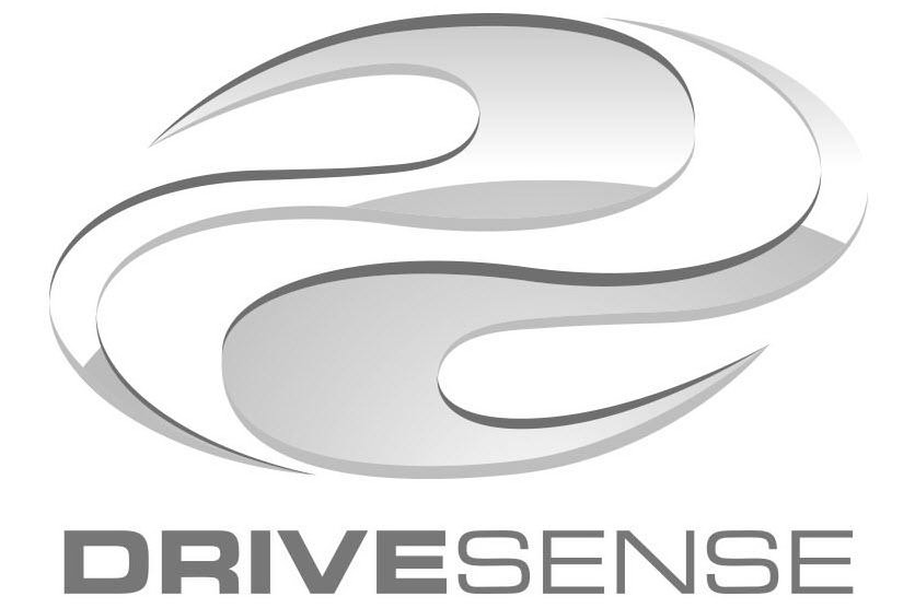 Trademark Logo DRIVESENSE