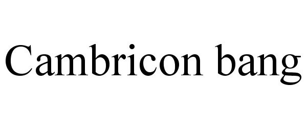 Trademark Logo CAMBRICON BANG
