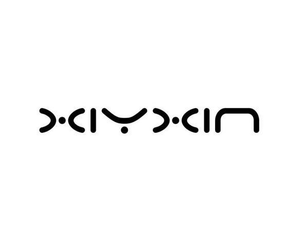 Trademark Logo XIYXIN